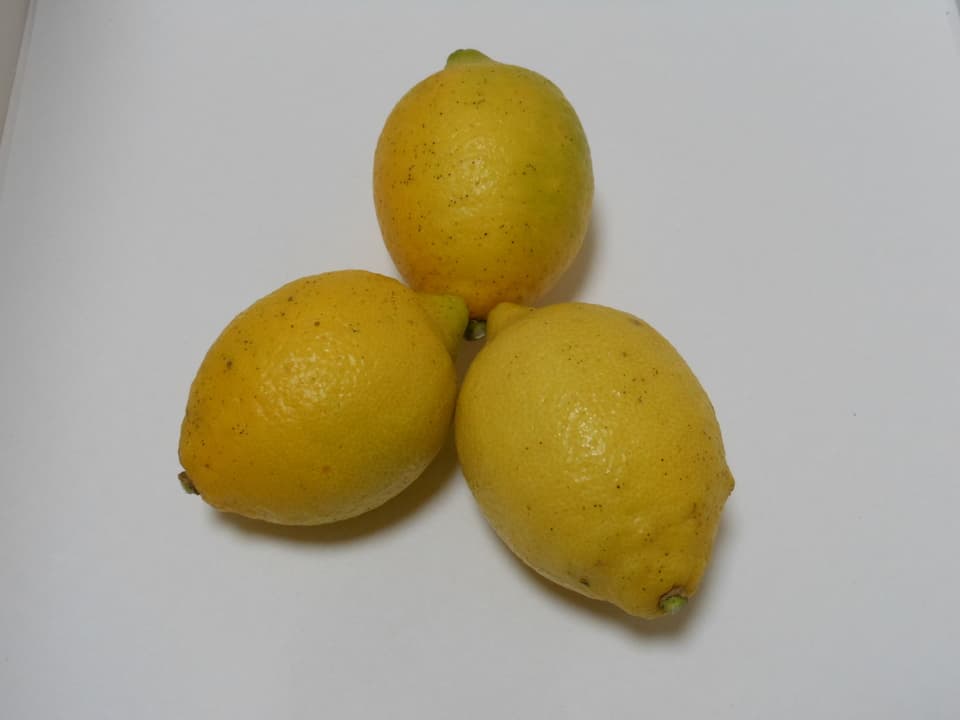 レモン 自然栽培（農薬不使用・化学肥料不使用・除草剤不使用） なかい