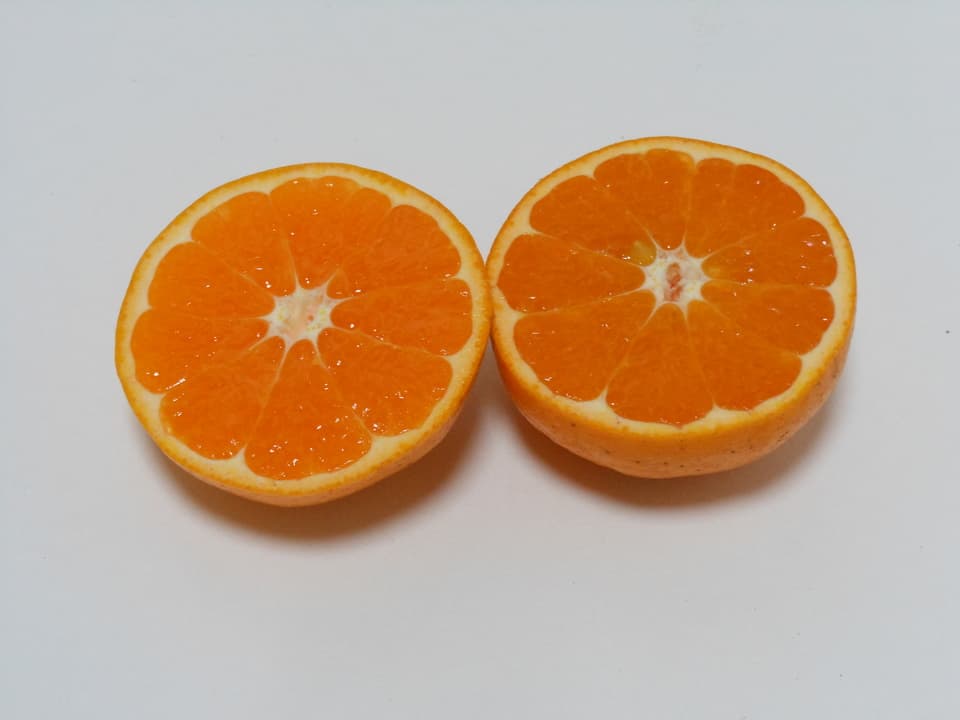 はるみ 自然栽培（農薬不使用・化学肥料不使用・除草剤不使用）
