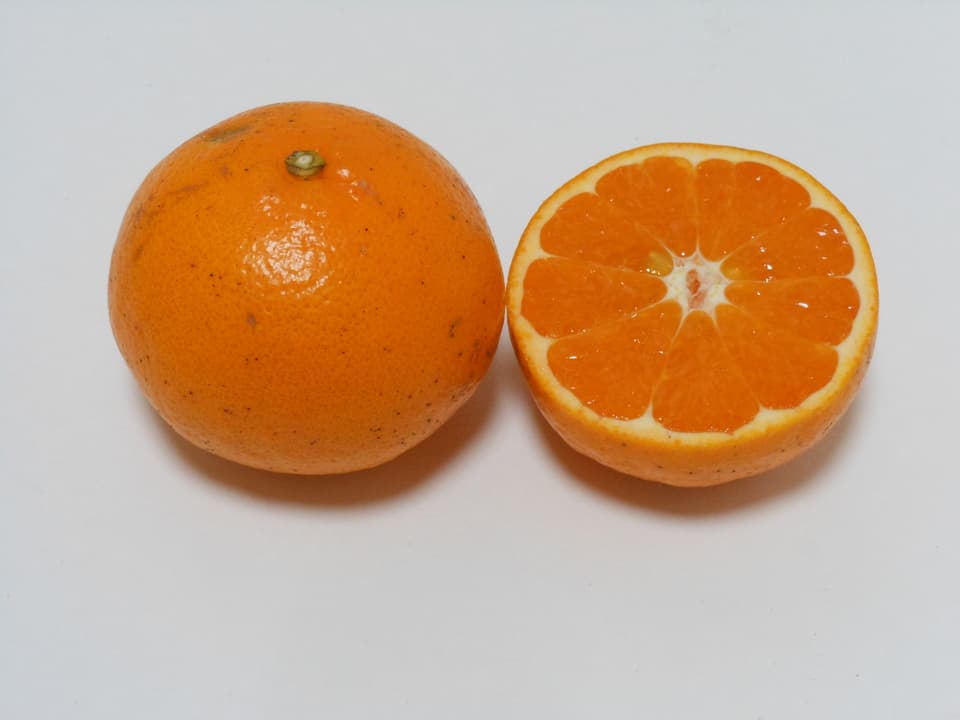 はるみ 自然栽培（農薬不使用・化学肥料不使用・除草剤不使用）
