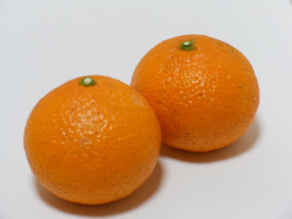 スィートスプリング   自然栽培（農薬不使用・化学肥料不使用・除草剤不使用）