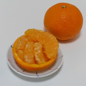 甘夏  自然栽培（農薬不使用・化学肥料不使用・除草剤不使用）のレビュー