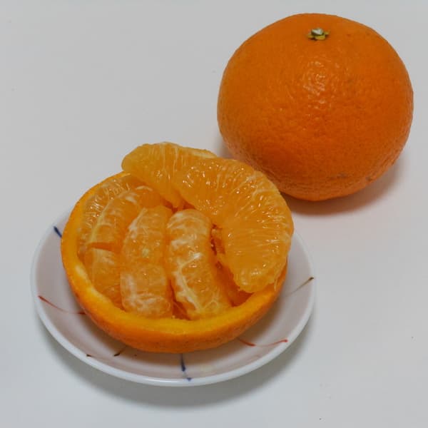 甘夏  自然栽培（農薬不使用・化学肥料不使用・除草剤不使用）