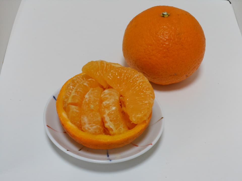 甘夏  自然栽培（農薬不使用・化学肥料不使用・除草剤不使用）