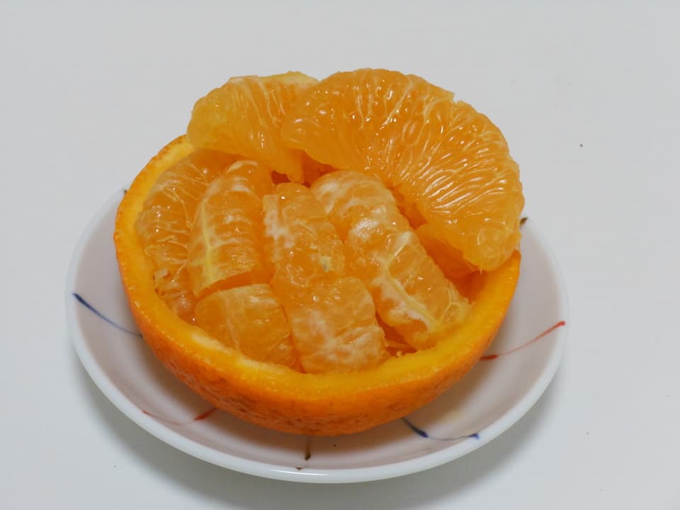甘夏  自然栽培（農薬不使用・化学肥料不使用・除草剤不使用）