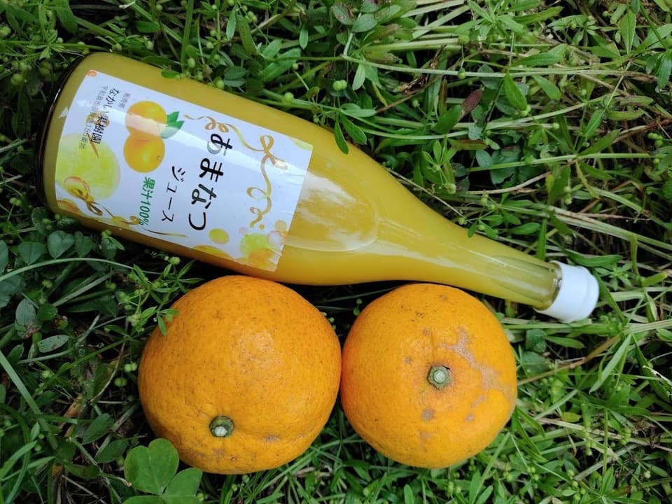 甘夏ジュース　自然栽培（農薬不使用・化学肥料不使用・除草剤不使用）で栽培された甘夏が原料
