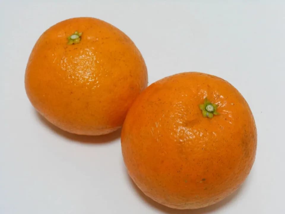 なかい果樹園の伊予柑ジャム