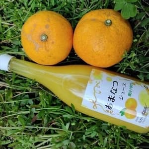 甘夏ジュース　自然栽培（農薬不使用・化学肥料不使用・除草剤不使用）の甘夏を使用した100%ジュースの口コミ・レビュー(シトラス好きさん)