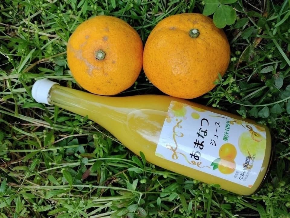 甘夏ジュース　自然栽培（農薬不使用・化学肥料不使用・除草剤不使用）の甘夏を使用した100%ジュース