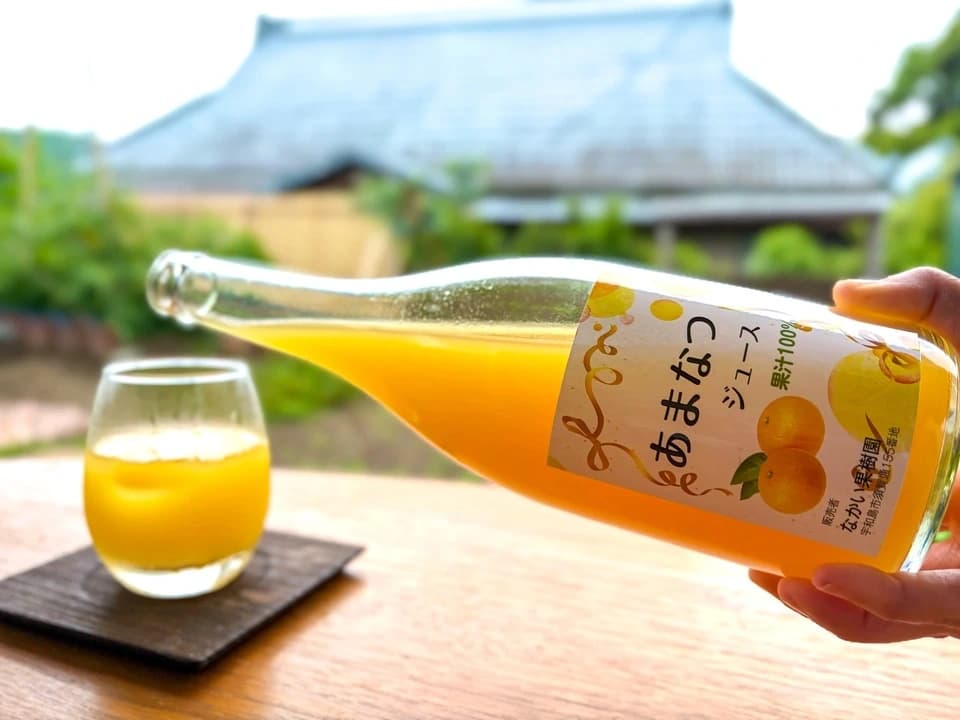 甘夏ジュース　自然栽培（農薬不使用・化学肥料不使用・除草剤不使用）の甘夏を使用した100%ジュース