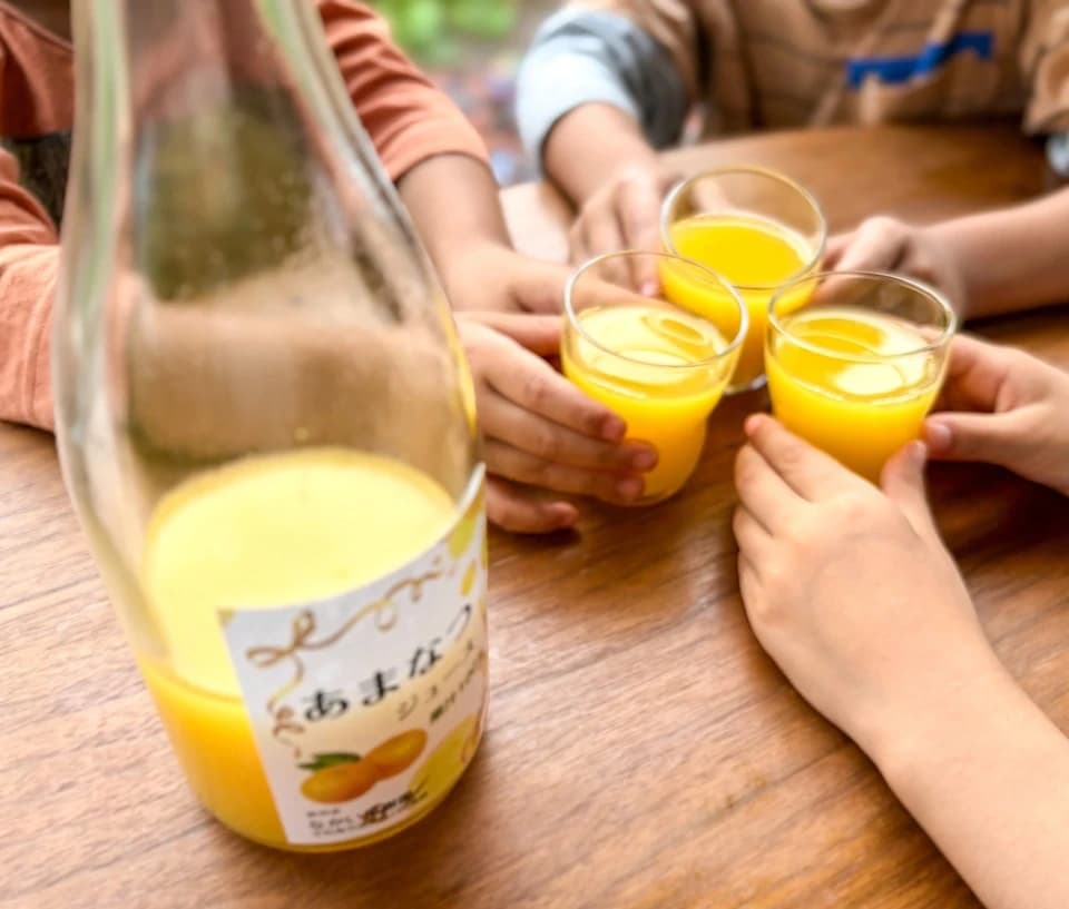 甘夏ジュース　自然栽培（農薬不使用・化学肥料不使用・除草剤不使用）の甘夏を使用した100%ジュース