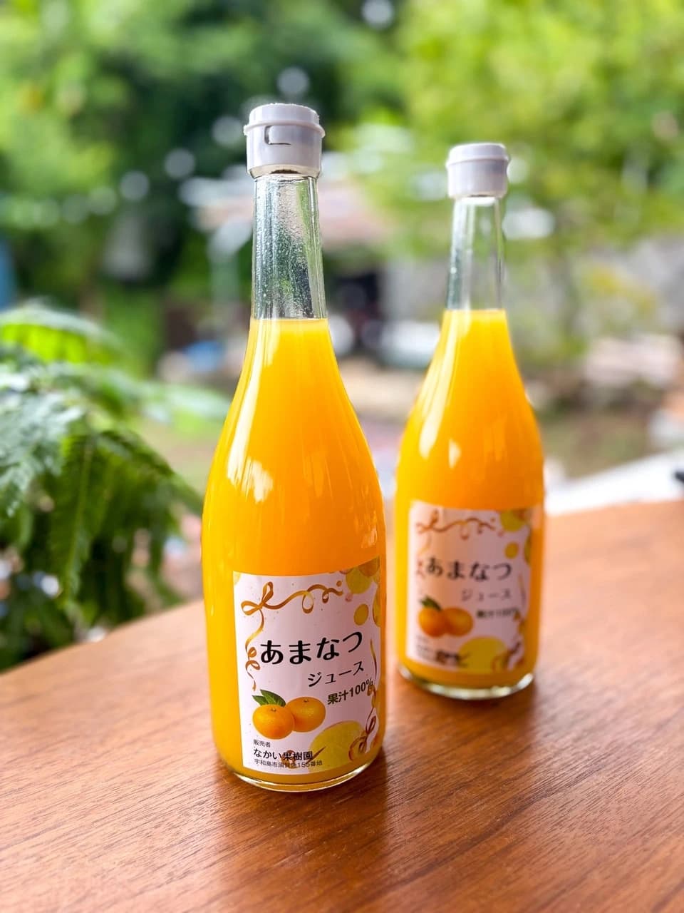 甘夏ジュース　自然栽培（農薬不使用・化学肥料不使用・除草剤不使用）の甘夏を使用した100%ジュース