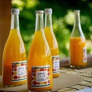 みかんジュース 自然栽培（農薬不使用・化学肥料不使用・除草剤不使用）の温州みかん、まるごとジュースの口コミ・レビュー(よつばのクローバーさん)