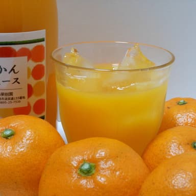 あけましておめでとうございます♪