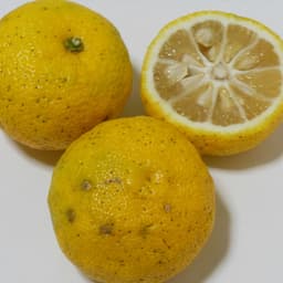 ちょびっとのゆず