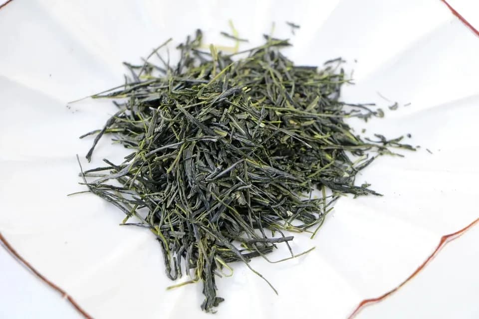 《新茶》2026年初摘み新茶　京都府和束町、農薬不使用栽培
