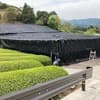 サムネイル 9