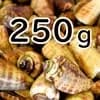 チャンバラ貝　250g