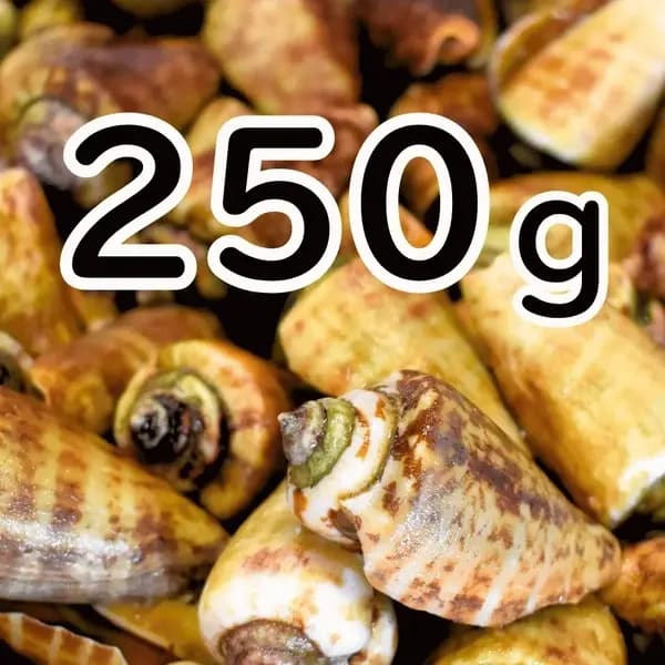 チャンバラ貝　250g