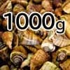 チャンバラ貝　1000g