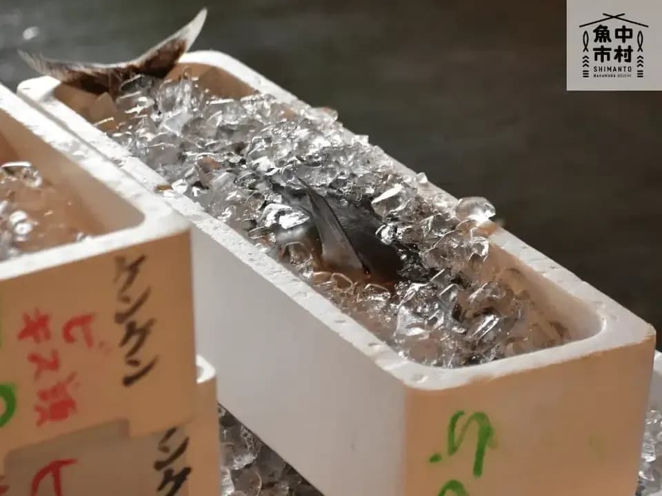 【父の日ギフト】セット＆単品│市場直送│高知県しまんと│季節の天然魚 選べるお刺身セット（冷凍）│砂糖不使用・化学調味料不使用│熨斗無料
