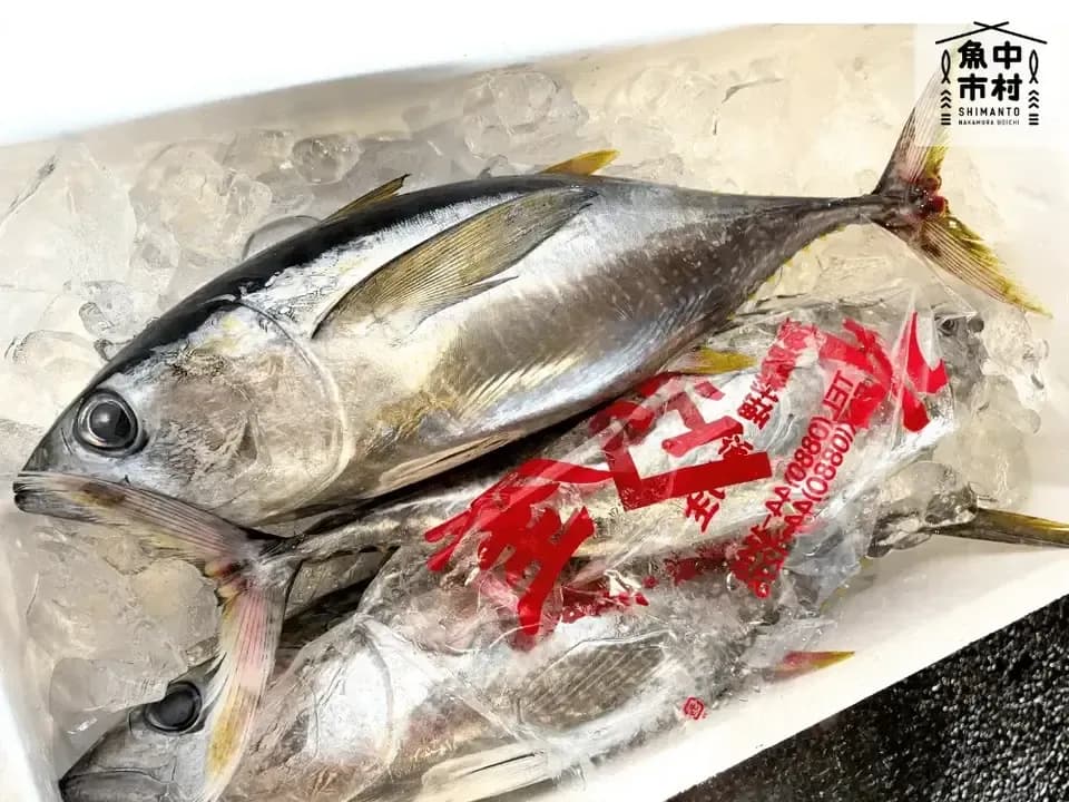【父の日・お中元・夏ギフト】単品│市場直送│高知県しまんと│マグロ・カツオ・ハマチ ３種の天然海鮮漬け丼（冷凍）│砂糖不使用・化学調味料不使用│熨斗無料