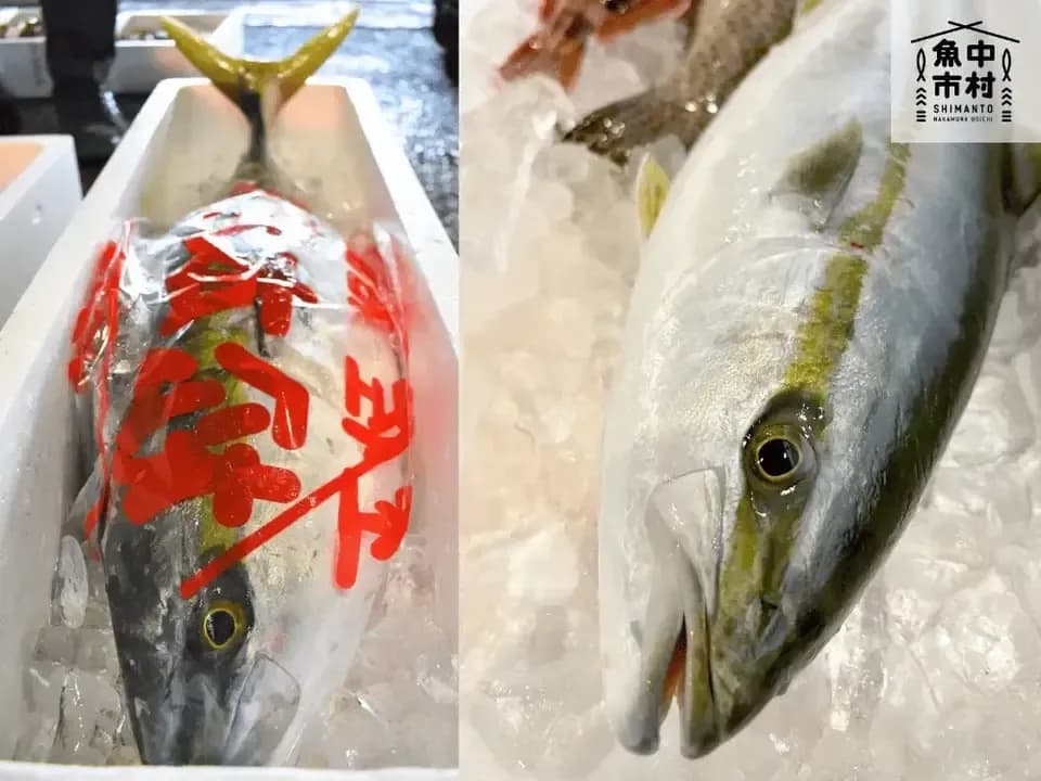 【父の日・お中元・夏ギフト】単品│市場直送│高知県しまんと│マグロ・カツオ・ハマチ ３種の天然海鮮漬け丼（冷凍）│砂糖不使用・化学調味料不使用│熨斗無料