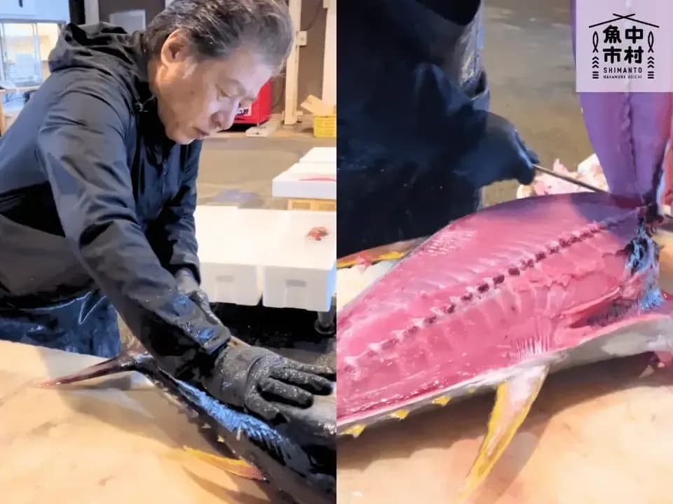 【父の日・お中元・夏ギフト】単品│市場直送│高知県しまんと│マグロ・カツオ・ハマチ ３種の天然海鮮漬け丼（冷凍）│砂糖不使用・化学調味料不使用│熨斗無料