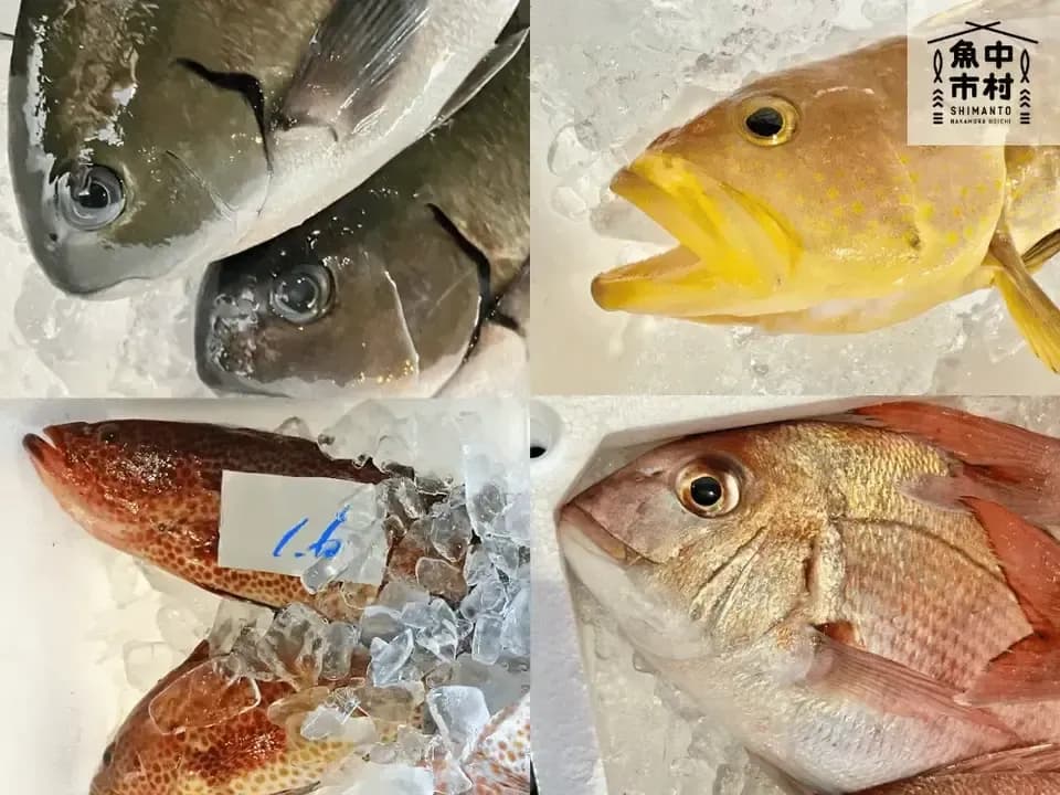 【父の日・お中元・夏ギフト】単品│市場直送│高知県しまんと│季節の天然魚 昆布〆（冷凍）│化学調味料不使用│原材料：白身魚、米酢、昆布、塩のみ│熨斗無料