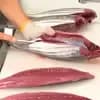 サムネイル 7