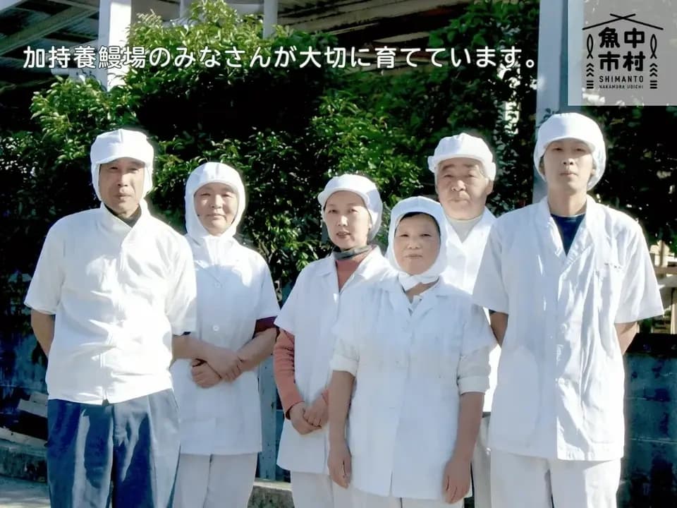 【お中元・夏ギフト】四万十有頭うなぎ│市場直送│高知県│加持養鰻場のウナギ 蒲焼・白焼き（冷凍）│無投薬・化学調味料不使用│熨斗無料