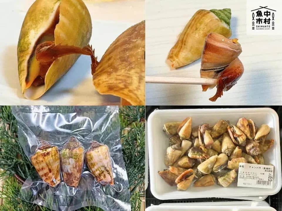 新商品【お中元・夏ギフト】単品│市場直送│高知県しまんと│チャンバラ貝（冷凍）│原材料：チャンバラ貝（高知県産）│熨斗無料
