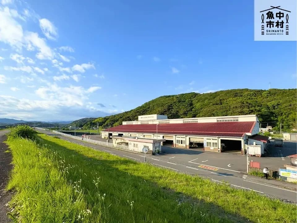 新商品【お中元・夏ギフト】単品│市場直送│高知県しまんと│チャンバラ貝（冷凍）│原材料：チャンバラ貝（高知県産）│熨斗無料