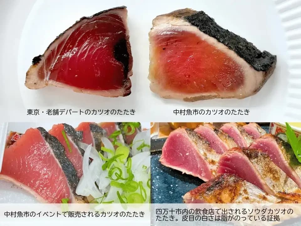 【お中元・夏ギフト】セット＆単品│市場直送│高知県しまんと│季節の天然魚 選べるお刺身セット（冷凍）│砂糖不使用・化学調味料不使用│熨斗無料