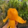 サムネイル 8