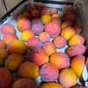 サムネイル 9