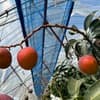 サムネイル 10