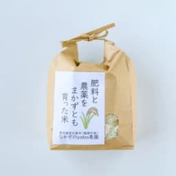 Sサイズ（1kg）