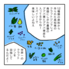 サムネイル 5
