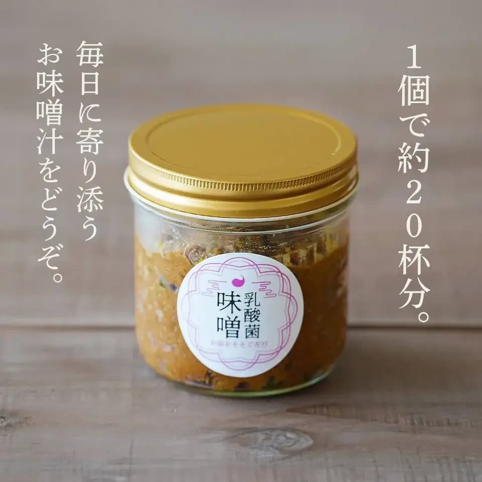 【乳酸菌味噌】お湯を注ぐだけで本物の味噌汁（20杯分）