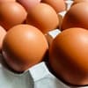 サムネイル 6