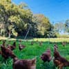 サムネイル 11