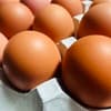 サムネイル 10