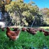 サムネイル 3