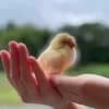 サムネイル 18
