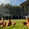 サムネイル 3