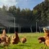 サムネイル 3
