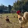 サムネイル 6