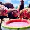 サムネイル 20