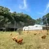 サムネイル 7