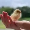 サムネイル 18